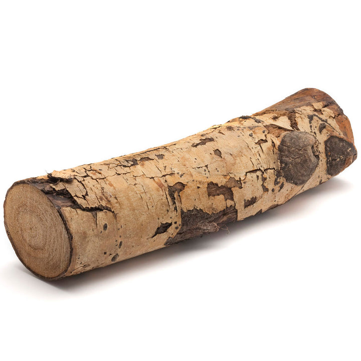 Turners Choice Aspen Log Project Blanks