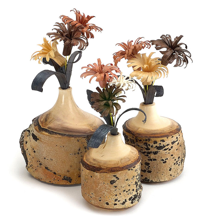 Turners Choice Aspen Log Project Blanks