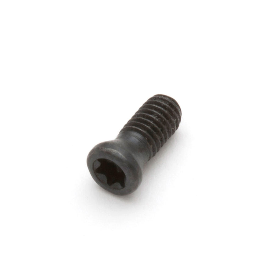 Hollow-Pro Hollowing Tool Cutter Replacement Torx Screw No. 2