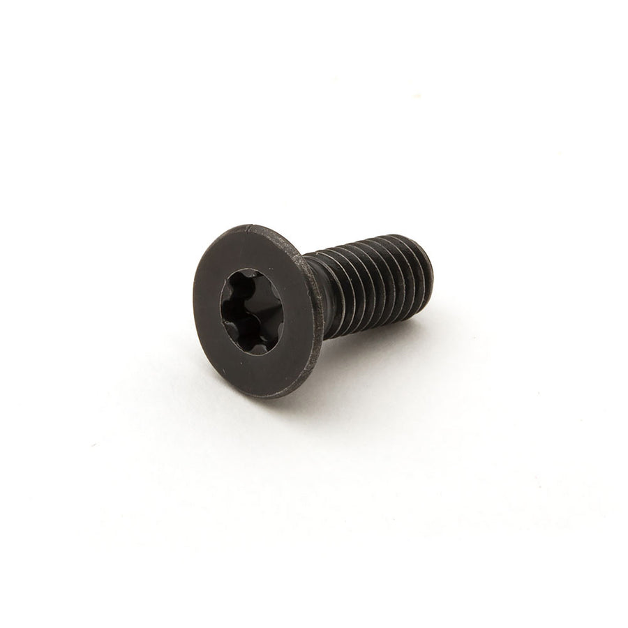 Hollow-Pro Hollowing Tool Replacement Torx Screw 1/2"