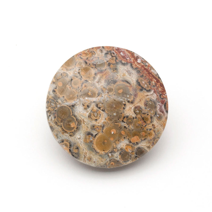 Turners Select Leopard Jasper Stone Insert 25 mm